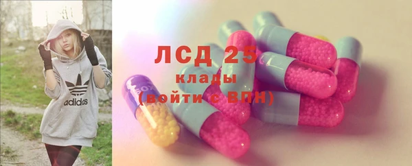PSILOCYBIN Няндома